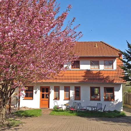 Landpension Zum Kleinen Urlaub Wredenhagen Oda fotoğraf