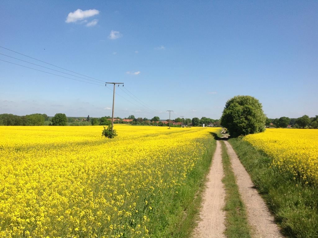 Landpension Zum Kleinen Urlaub Wredenhagen Dış mekan fotoğraf